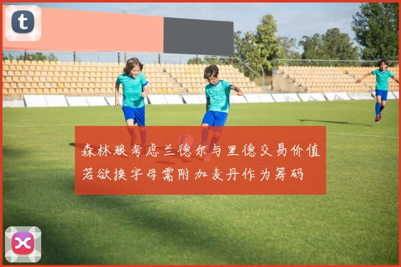 森林狼考虑兰德尔与里德交易价值若欲换字母需附加麦丹作为筹码